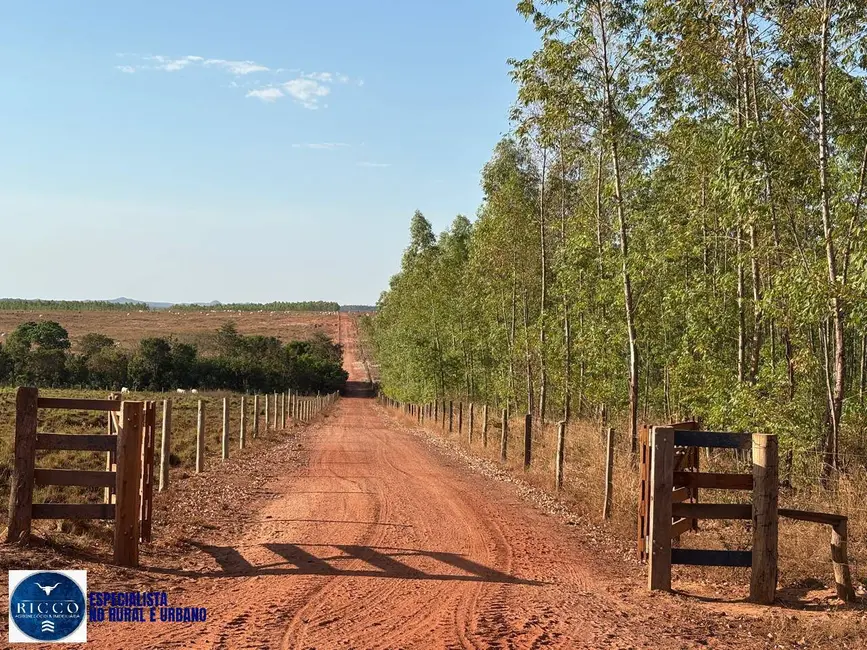Fazenda / Haras com 6 quartos à venda, 1679m2 em Ponte Alta Do Tocantins - TO - imagem 1 Foto 1 de Fazenda / Haras com 6 quartos à venda, 1679m2 em Ponte Alta Do Tocantins - TO