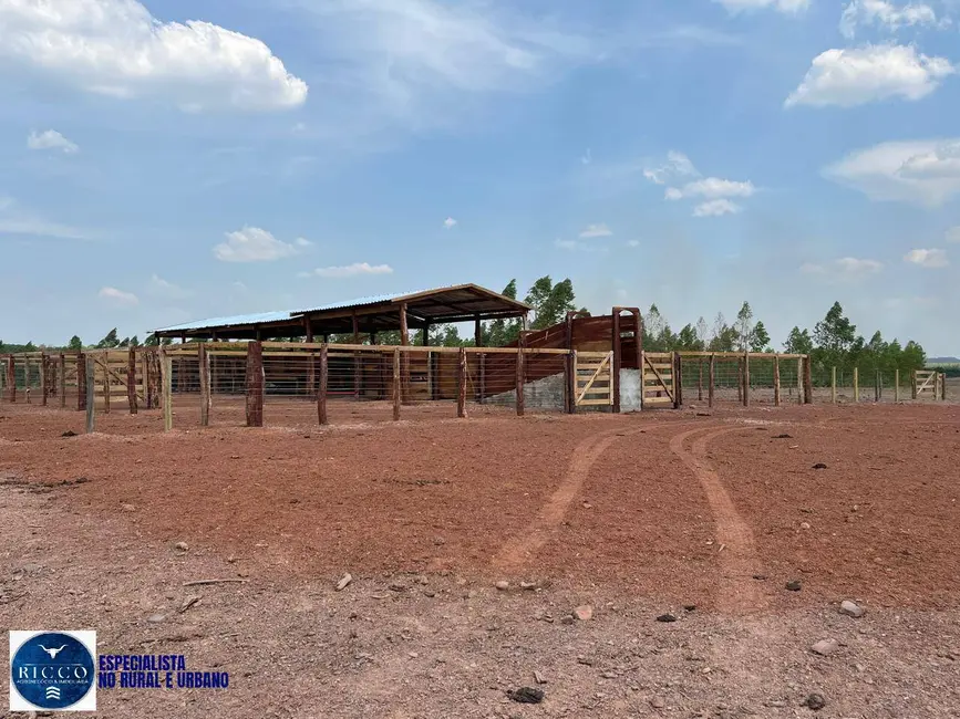 Fazenda / Haras com 6 quartos à venda, 1679m2 em Ponte Alta Do Tocantins - TO - imagem 6 Foto 6 de Fazenda / Haras com 6 quartos à venda, 1679m2 em Ponte Alta Do Tocantins - TO