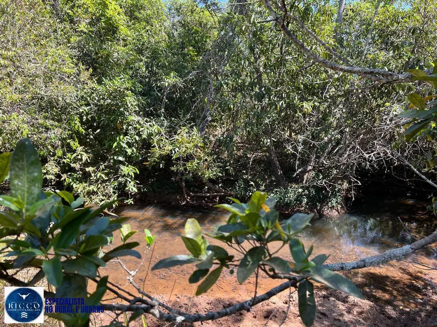 Foto 2 de Fazenda / Haras com 7 quartos à venda, 75m2 em Piracanjuba - GO