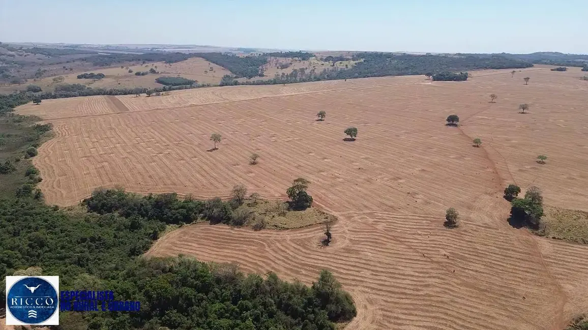 Foto 8 de Fazenda / Haras com 7 quartos à venda, 75m2 em Piracanjuba - GO