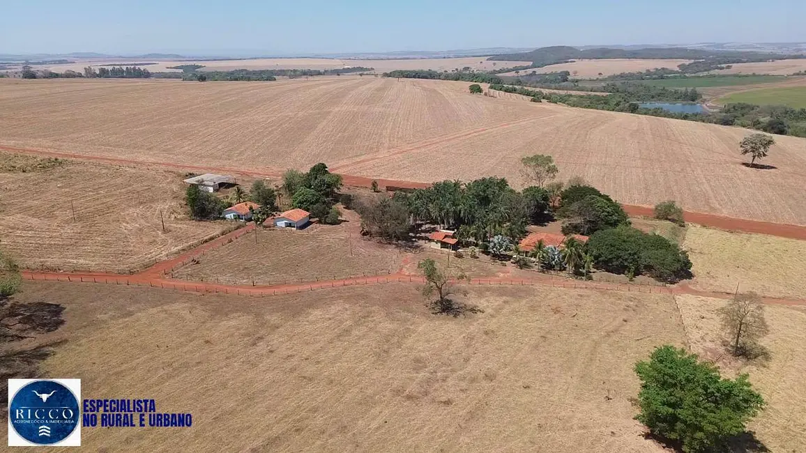 Foto 6 de Fazenda / Haras com 7 quartos à venda, 75m2 em Piracanjuba - GO