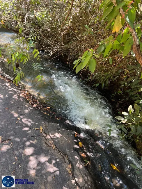 Foto 3 de Fazenda / Haras com 7 quartos à venda, 75m2 em Piracanjuba - GO
