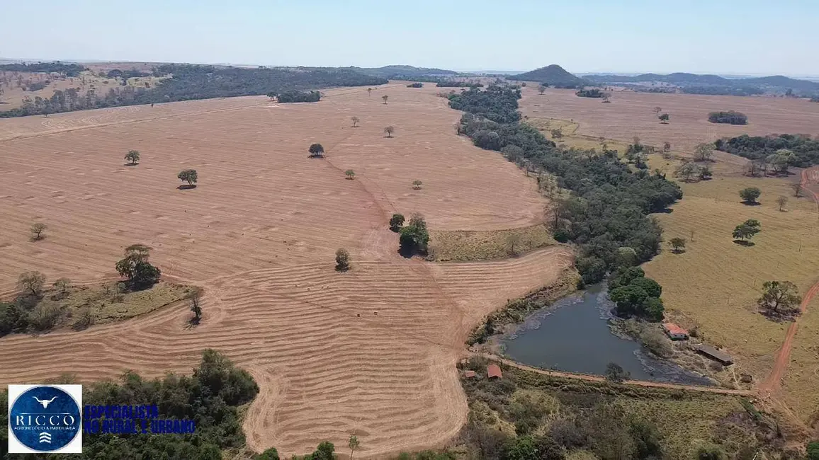 Foto 1 de Fazenda / Haras com 7 quartos à venda, 75m2 em Piracanjuba - GO