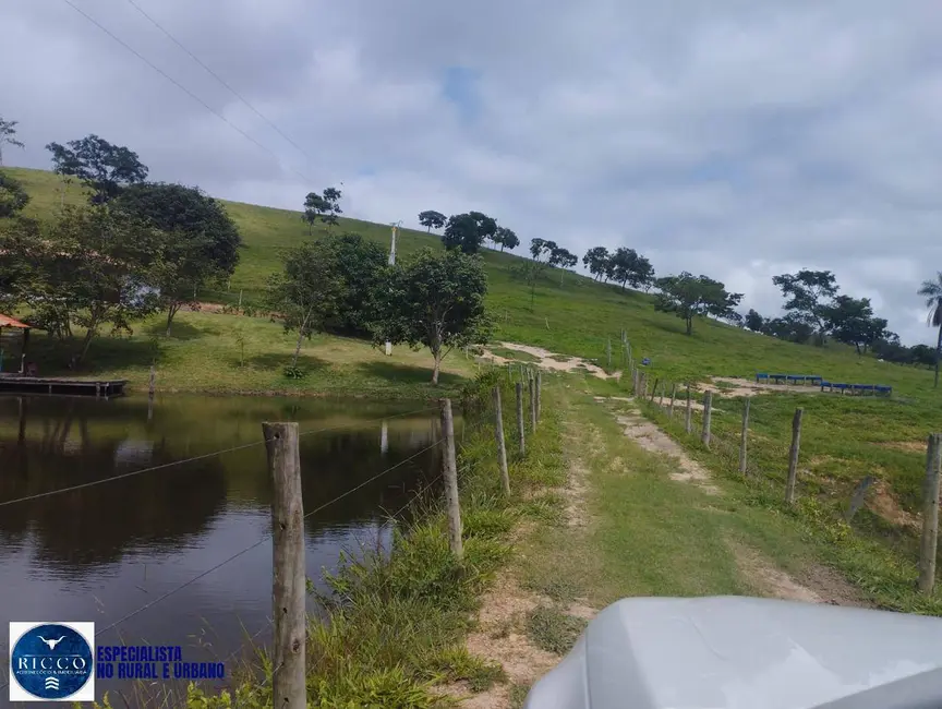 Sítio / Rancho com 4 quartos à venda, 13m2 em Itaberai - GO - imagem 6 Foto 6 de Sítio / Rancho com 4 quartos à venda, 13m2 em Itaberai - GO