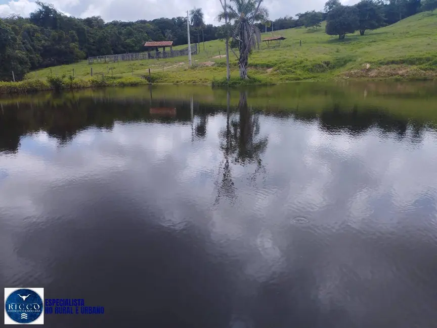 Sítio / Rancho com 4 quartos à venda, 13m2 em Itaberai - GO - imagem 4 Foto 4 de Sítio / Rancho com 4 quartos à venda, 13m2 em Itaberai - GO