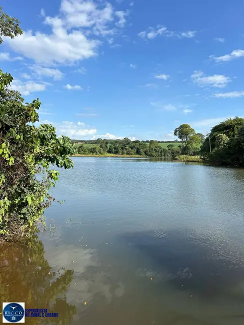 Foto 9 de Chácara com 3 quartos à venda, 4000m2 em Leopoldo De Bulhoes - GO