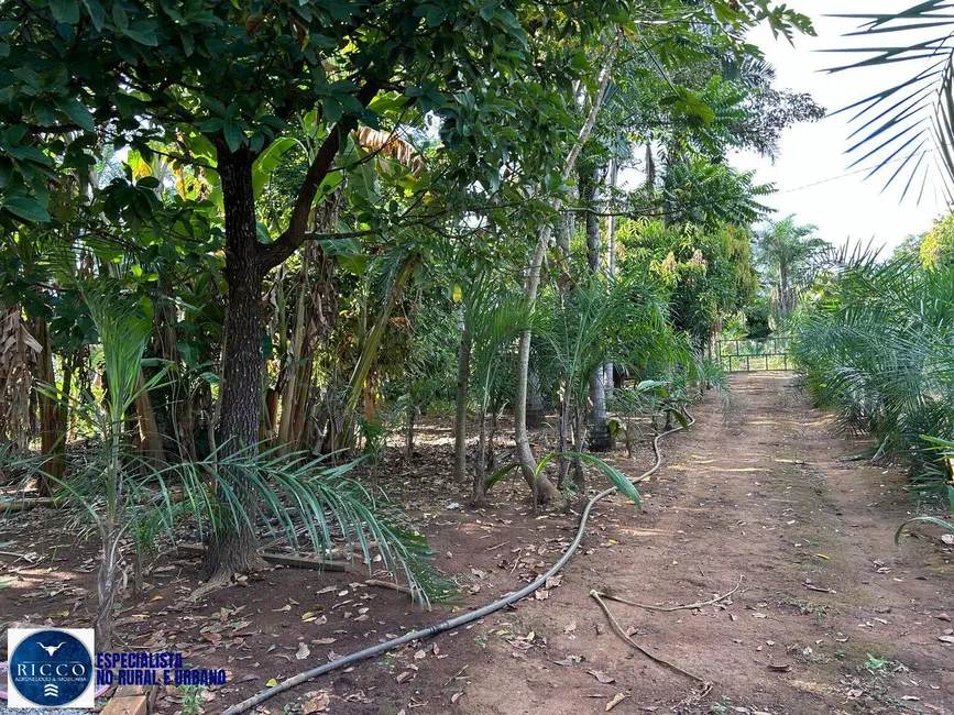 Foto 5 de Chácara com 3 quartos à venda, 4000m2 em Leopoldo De Bulhoes - GO