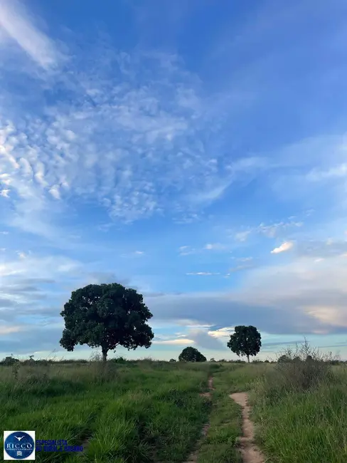 Foto 5 de Fazenda / Haras com 2 quartos à venda, 73m2 em Montes Claros De Goias - GO