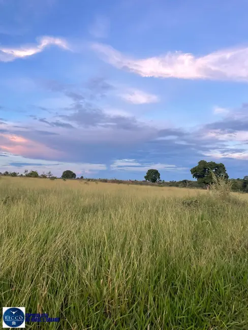 Foto 9 de Fazenda / Haras com 2 quartos à venda, 73m2 em Montes Claros De Goias - GO