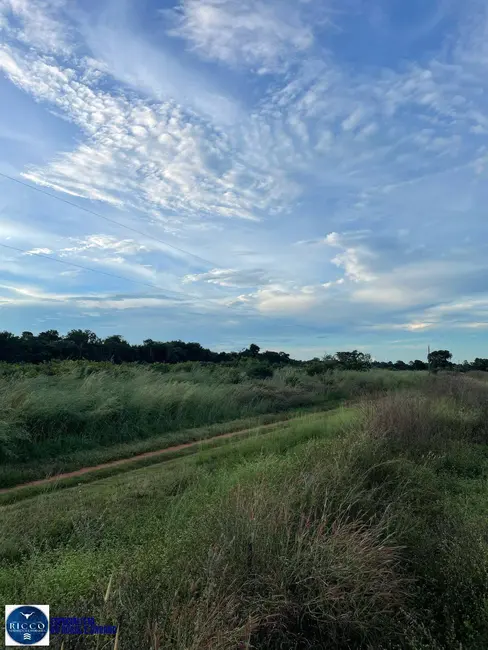 Foto 2 de Fazenda / Haras com 2 quartos à venda, 73m2 em Montes Claros De Goias - GO