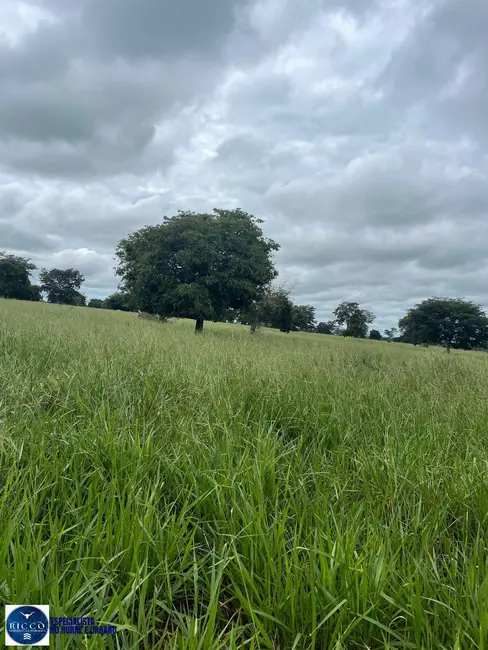 Foto 1 de Fazenda / Haras com 2 quartos à venda, 73m2 em Montes Claros De Goias - GO