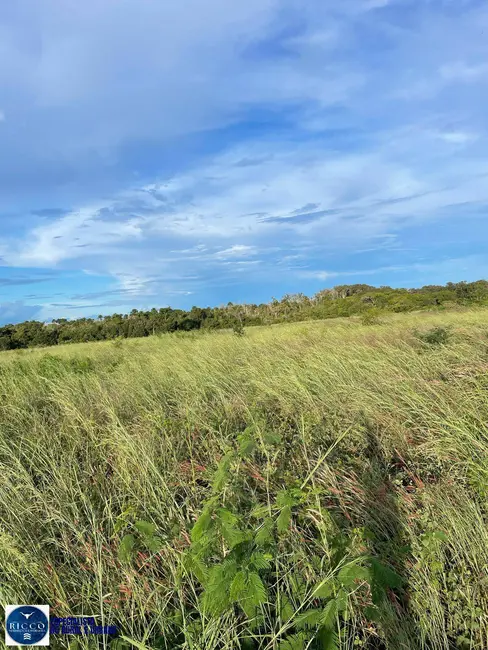 Foto 7 de Fazenda / Haras com 2 quartos à venda, 73m2 em Montes Claros De Goias - GO