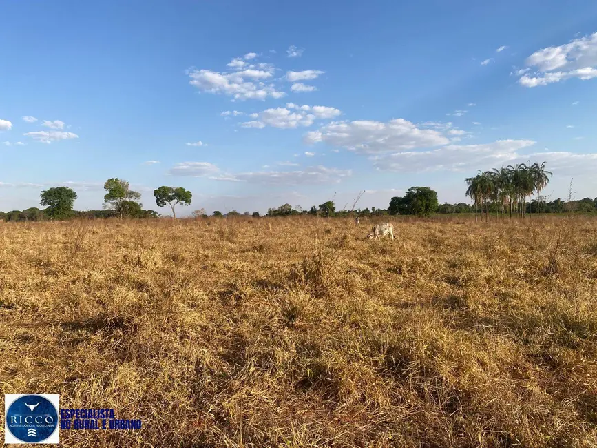 Foto 4 de Chácara com 2 quartos à venda em Taquaral De Goias - GO