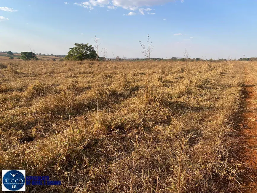 Foto 7 de Chácara com 2 quartos à venda em Taquaral De Goias - GO