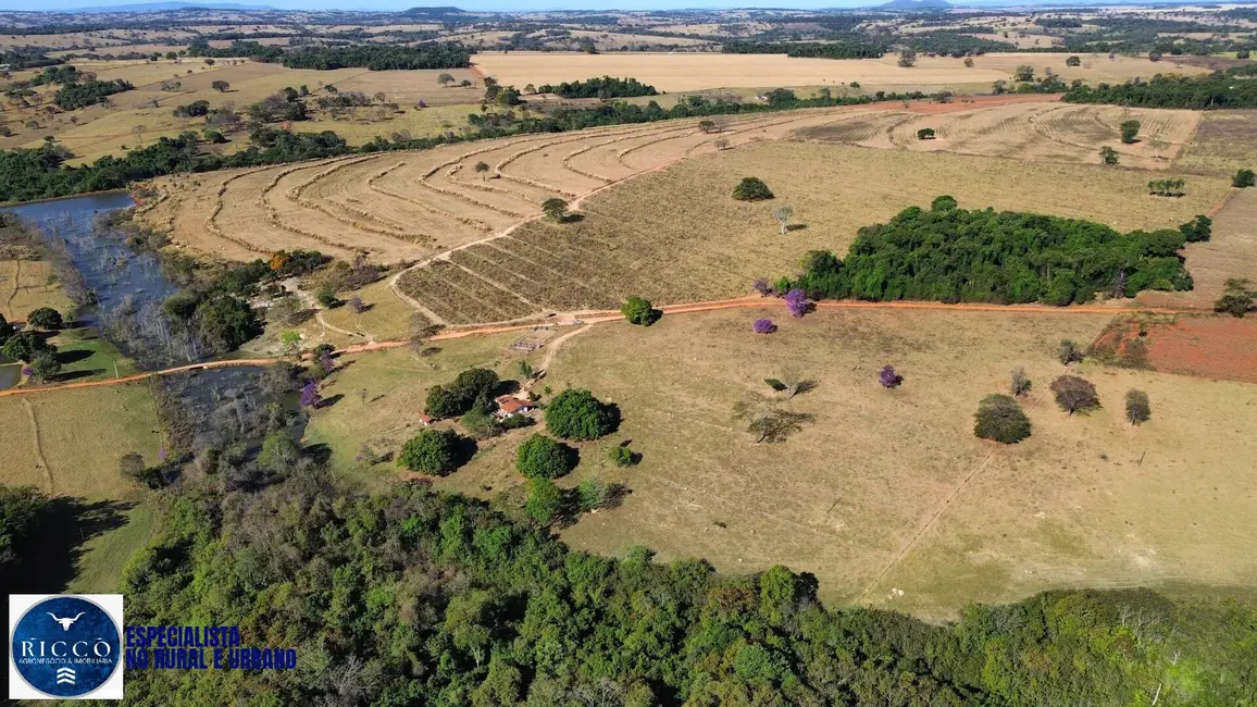 Foto 5 de Chácara com 2 quartos à venda em Taquaral De Goias - GO