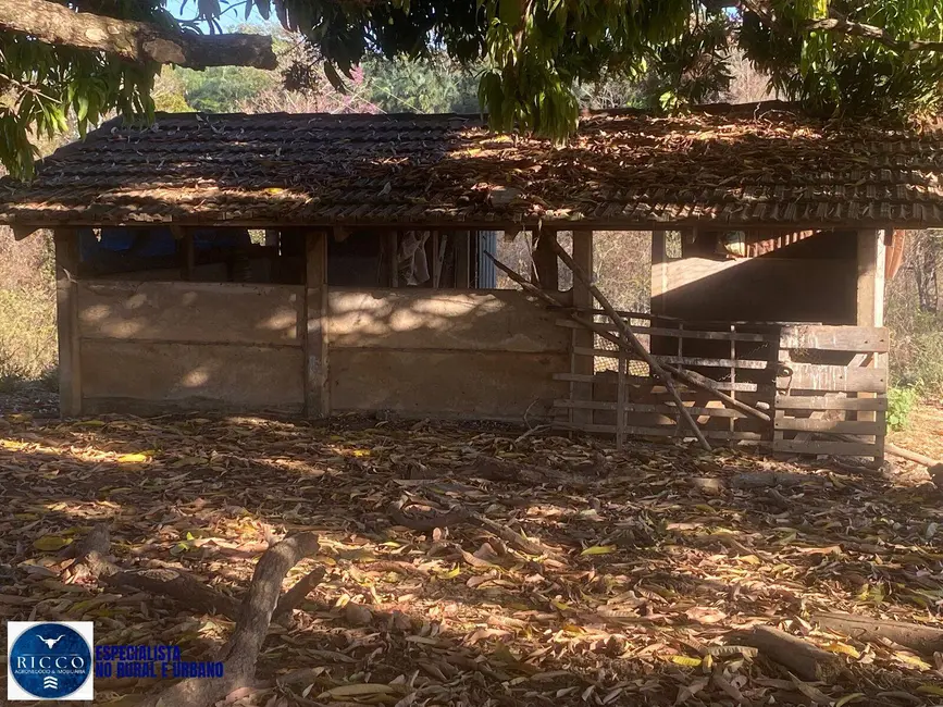 Foto 8 de Chácara com 2 quartos à venda em Taquaral De Goias - GO