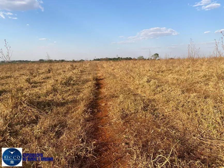 Foto 6 de Chácara com 2 quartos à venda em Taquaral De Goias - GO
