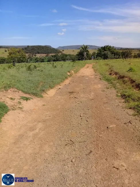 Foto 4 de Fazenda / Haras à venda, 91m2 em Bom Jardim De Goias - GO
