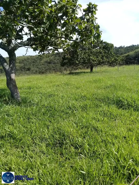 Foto 9 de Fazenda / Haras à venda, 91m2 em Bom Jardim De Goias - GO