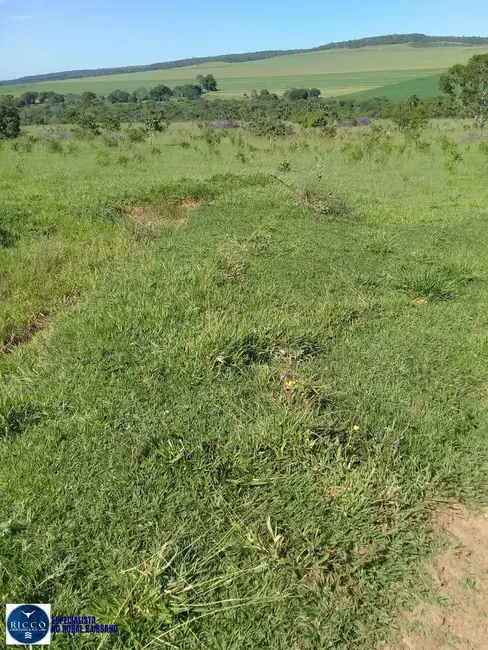 Foto 6 de Fazenda / Haras à venda, 91m2 em Bom Jardim De Goias - GO
