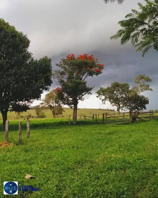 Foto 3 de Fazenda / Haras à venda, 91m2 em Bom Jardim De Goias - GO