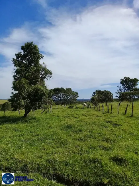 Foto 8 de Fazenda / Haras à venda, 91m2 em Bom Jardim De Goias - GO