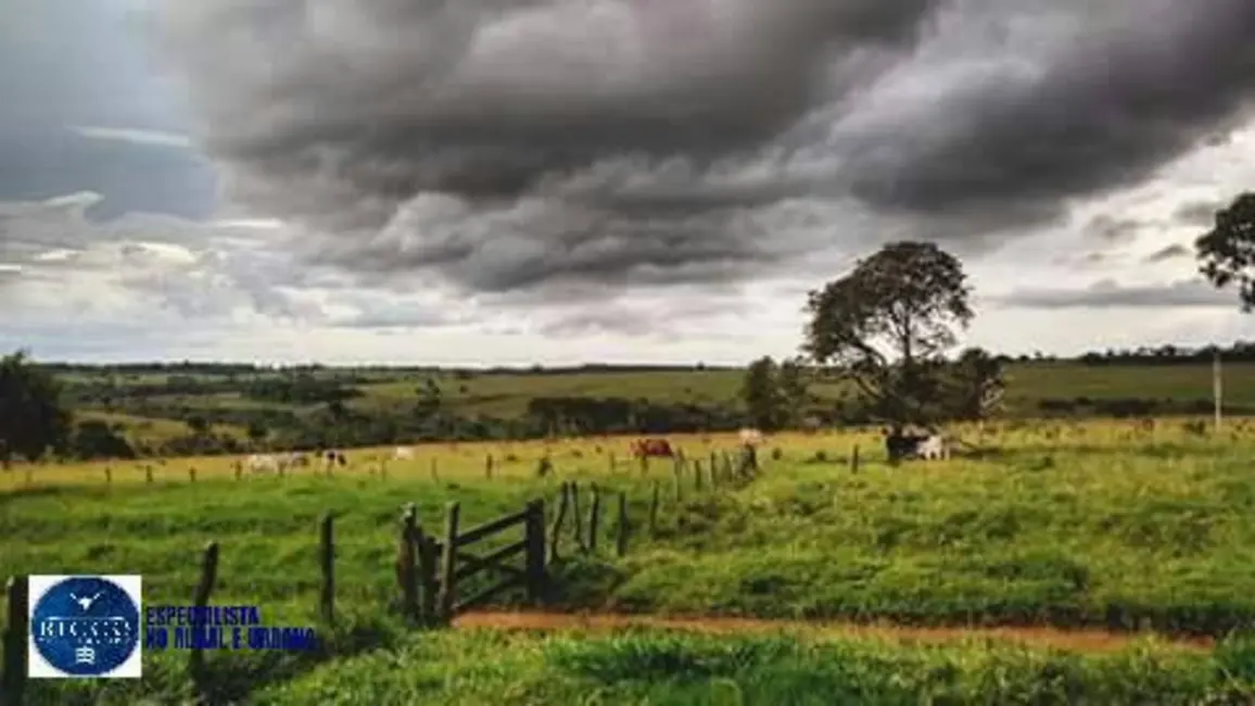 Foto 1 de Fazenda / Haras à venda, 91m2 em Bom Jardim De Goias - GO