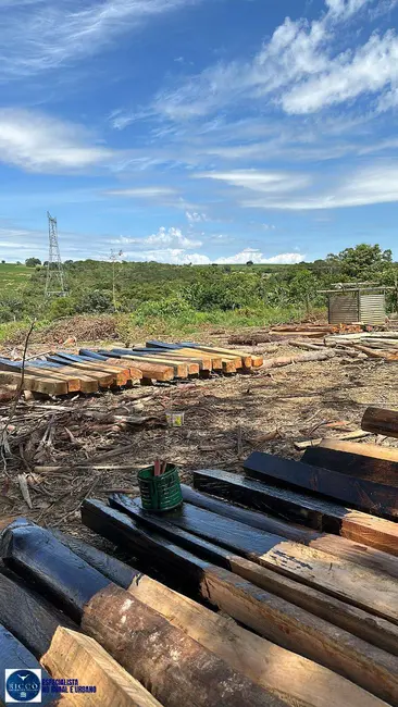 Foto 7 de Chácara com 5 quartos à venda em Sao Miguel Do Passa Quatro - GO