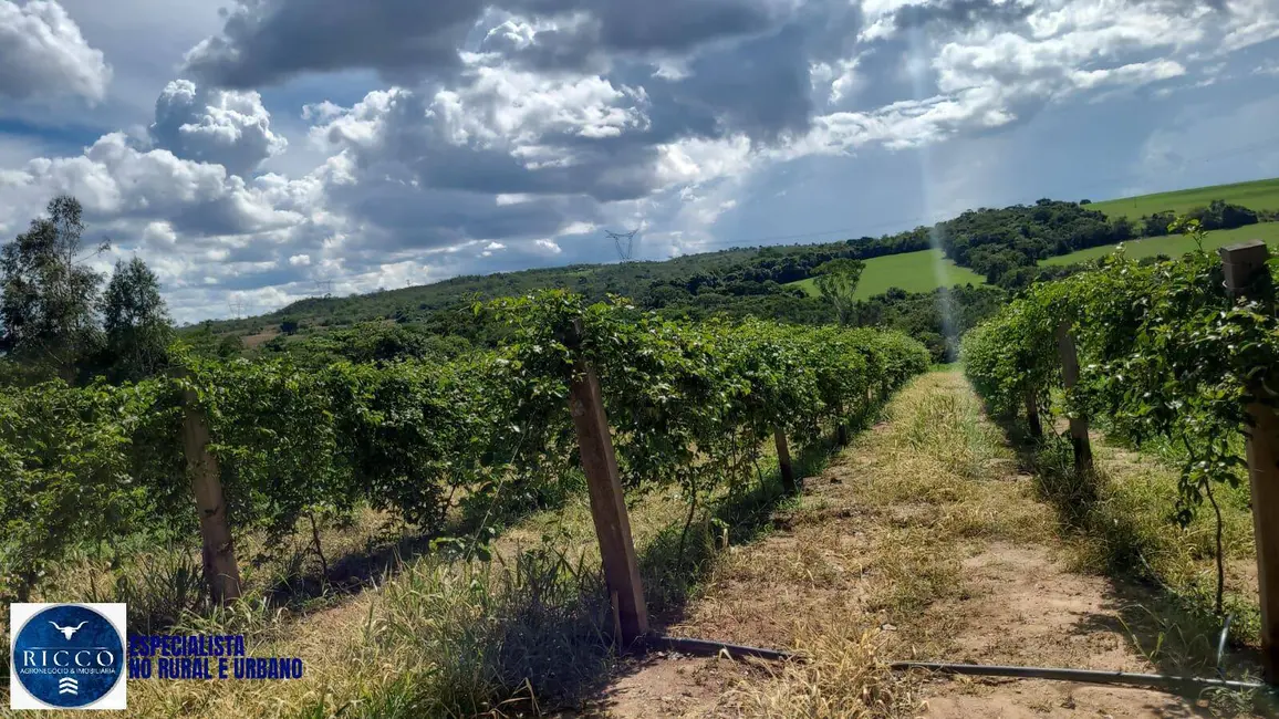 Foto 1 de Chácara com 5 quartos à venda em Sao Miguel Do Passa Quatro - GO