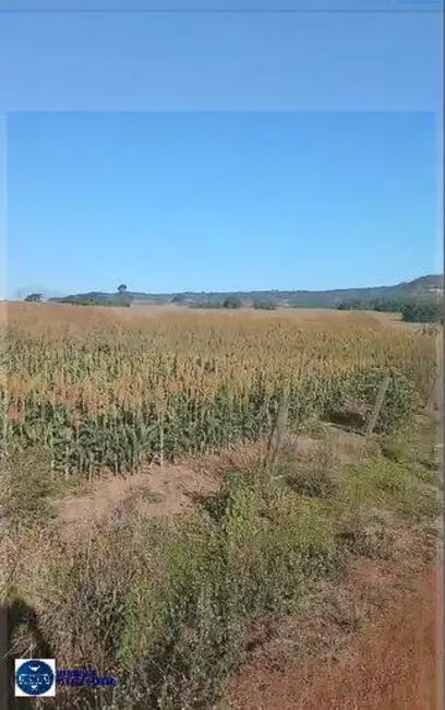 Fazenda / Haras com 3 quartos à venda, 60m2 em Rio Verde - GO - imagem 1 Foto 1 de Fazenda / Haras com 3 quartos à venda, 60m2 em Rio Verde - GO