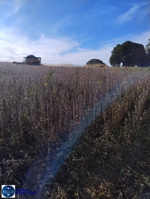 Fazenda / Haras com 3 quartos à venda, 60m2 em Rio Verde - GO - imagem 8 Foto 8 de Fazenda / Haras com 3 quartos à venda, 60m2 em Rio Verde - GO