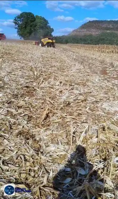 Fazenda / Haras com 3 quartos à venda, 60m2 em Rio Verde - GO - imagem 2 Foto 2 de Fazenda / Haras com 3 quartos à venda, 60m2 em Rio Verde - GO