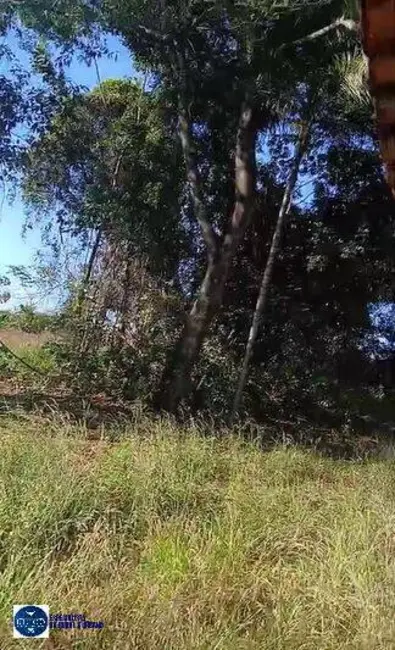 Fazenda / Haras com 3 quartos à venda, 60m2 em Rio Verde - GO - imagem 7 Foto 7 de Fazenda / Haras com 3 quartos à venda, 60m2 em Rio Verde - GO