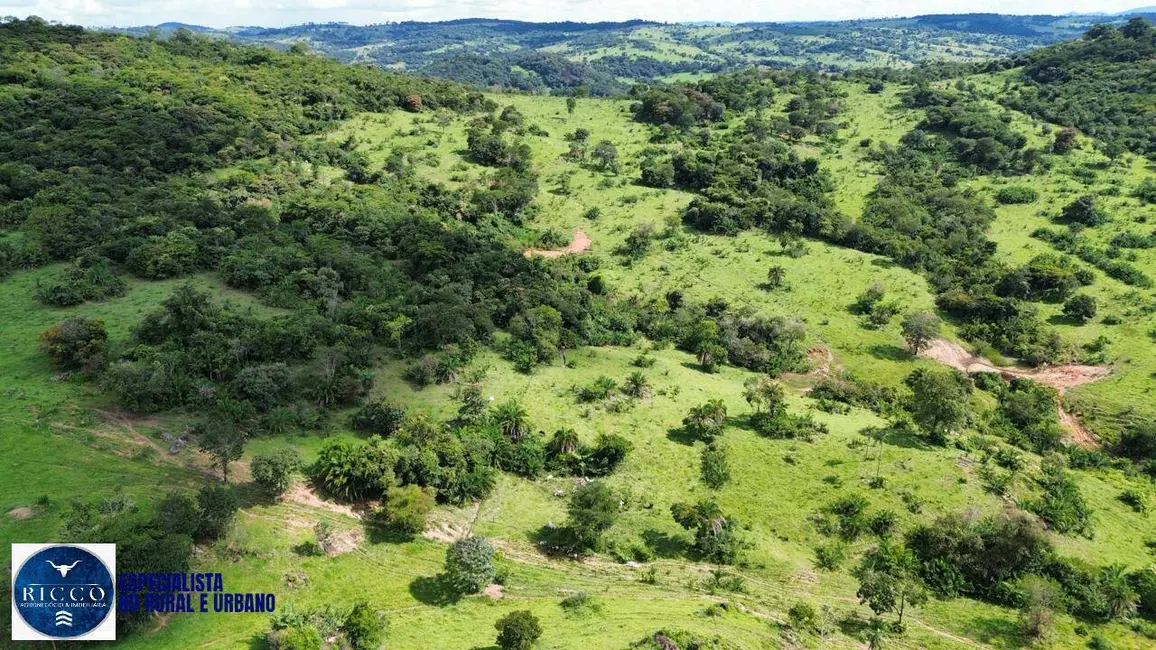 Foto 9 de Fazenda / Haras com 2 quartos à venda, 62m2 em Caturai - GO
