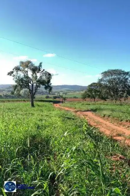 Foto 3 de Fazenda / Haras com 2 quartos à venda, 65m2 em Caturai - GO