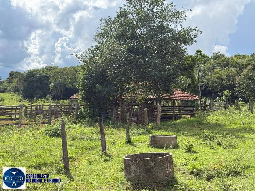 Foto 4 de Fazenda / Haras com 2 quartos à venda, 62m2 em Caturai - GO
