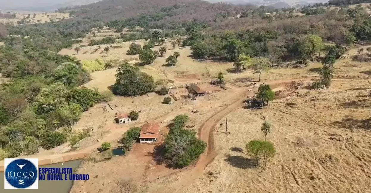 Foto 7 de Fazenda / Haras com 2 quartos à venda, 65m2 em Caturai - GO