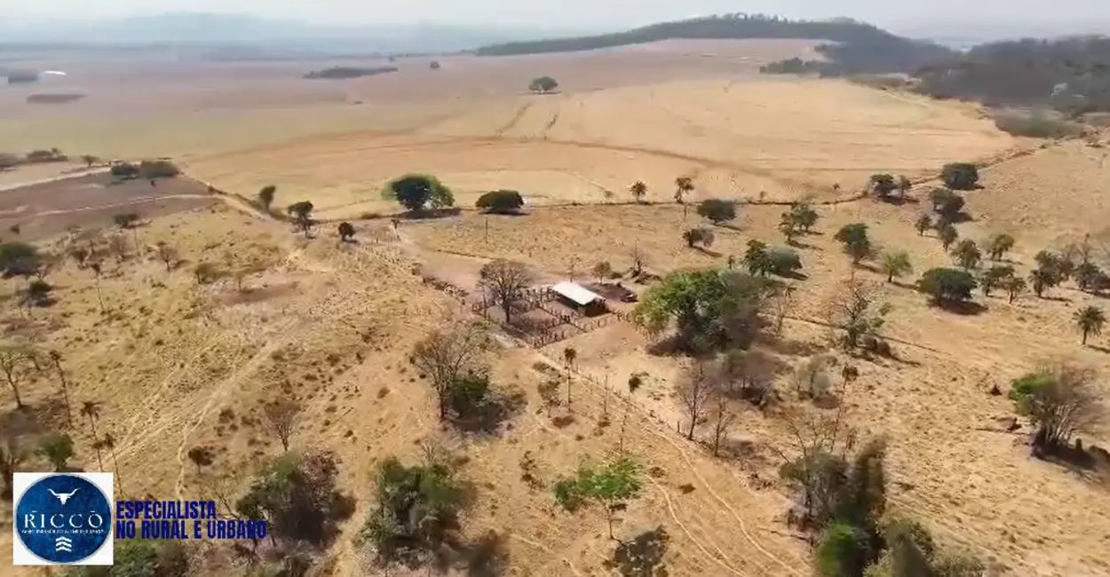 Foto 8 de Fazenda / Haras com 2 quartos à venda, 65m2 em Caturai - GO