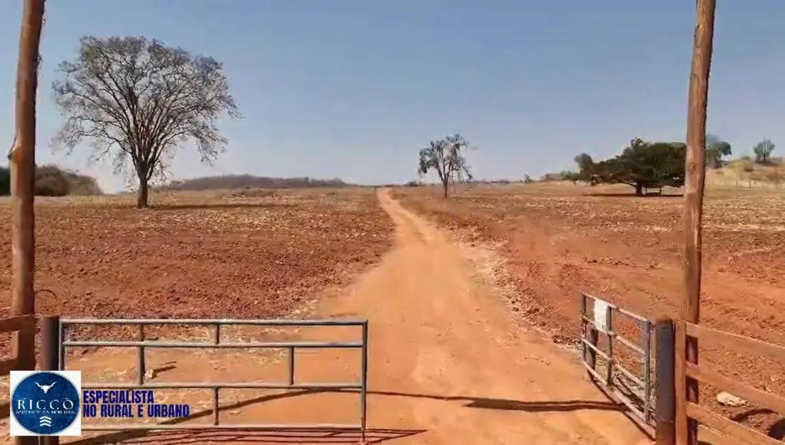 Foto 2 de Fazenda / Haras com 2 quartos à venda, 65m2 em Caturai - GO