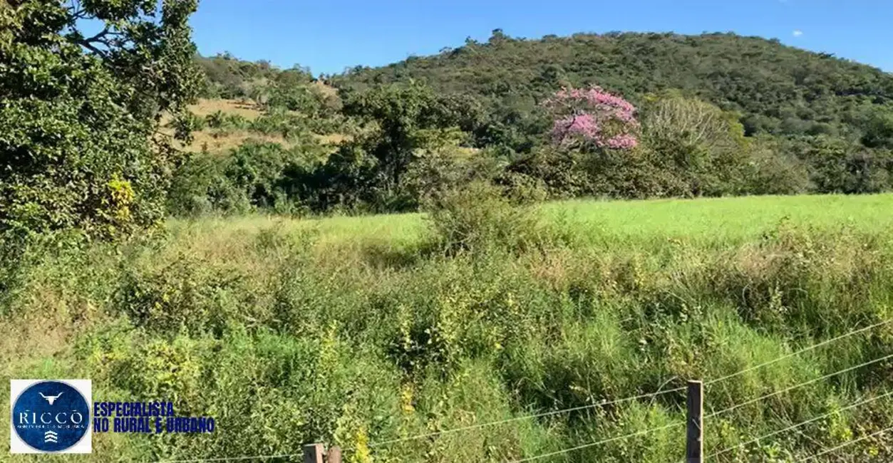 Foto 5 de Fazenda / Haras com 2 quartos à venda, 65m2 em Caturai - GO