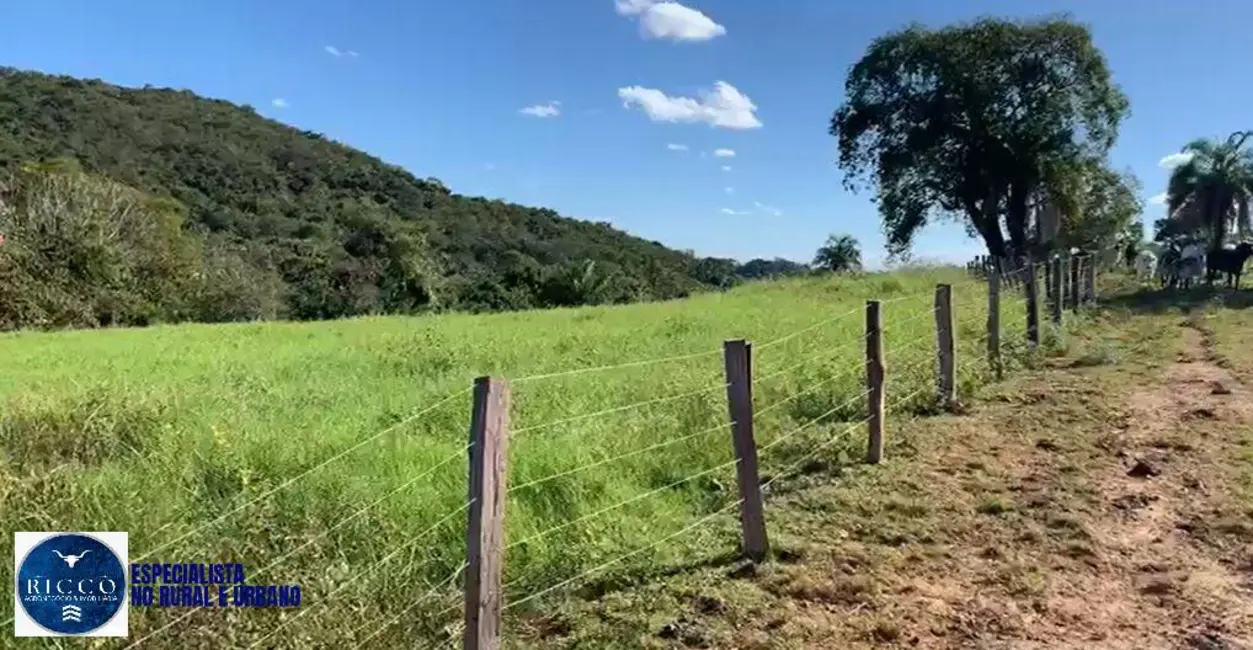Foto 6 de Fazenda / Haras com 2 quartos à venda, 65m2 em Caturai - GO