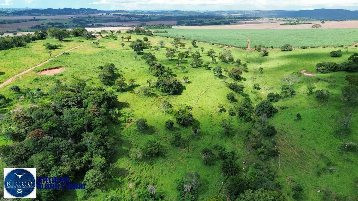 Foto 5 de Fazenda / Haras com 2 quartos à venda, 62m2 em Caturai - GO