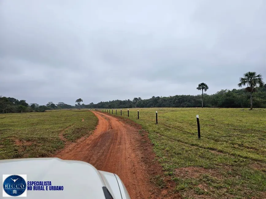 Foto 4 de Fazenda / Haras à venda, 75m2 em Zona Rural, Ituiutaba - MG