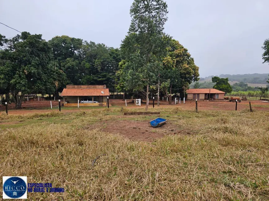 Foto 2 de Fazenda / Haras à venda, 75m2 em Zona Rural, Ituiutaba - MG