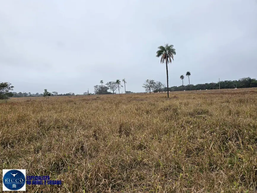 Foto 9 de Fazenda / Haras à venda, 75m2 em Zona Rural, Ituiutaba - MG