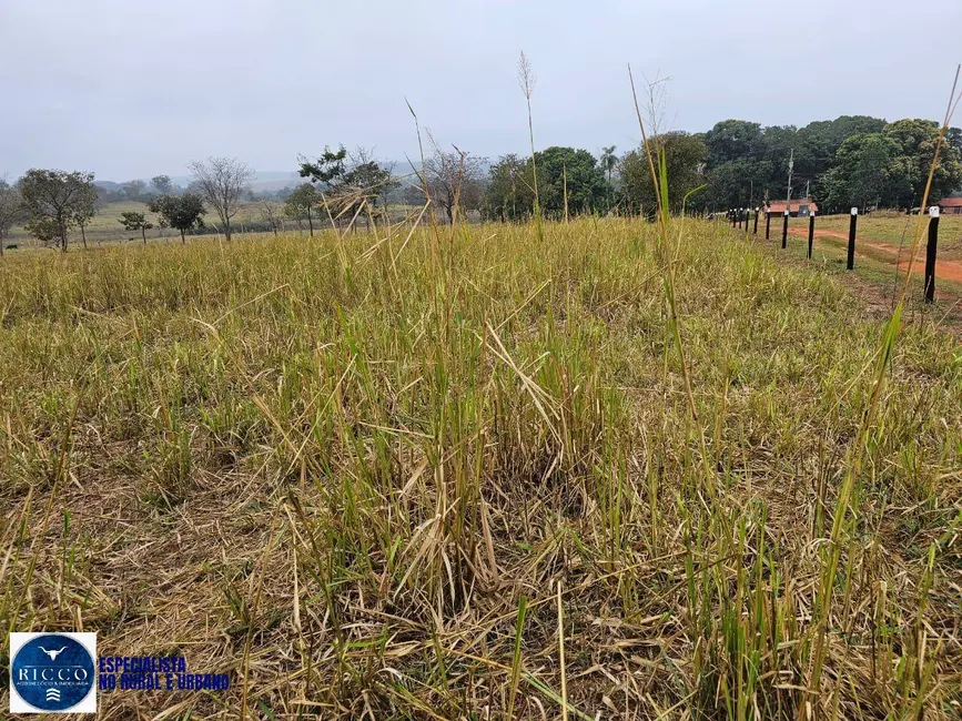 Foto 7 de Fazenda / Haras à venda, 75m2 em Zona Rural, Ituiutaba - MG