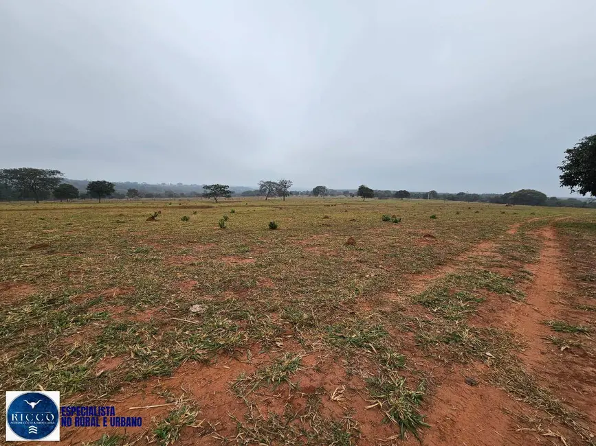 Foto 1 de Fazenda / Haras à venda, 75m2 em Zona Rural, Ituiutaba - MG