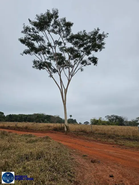 Foto 3 de Fazenda / Haras à venda, 75m2 em Zona Rural, Ituiutaba - MG