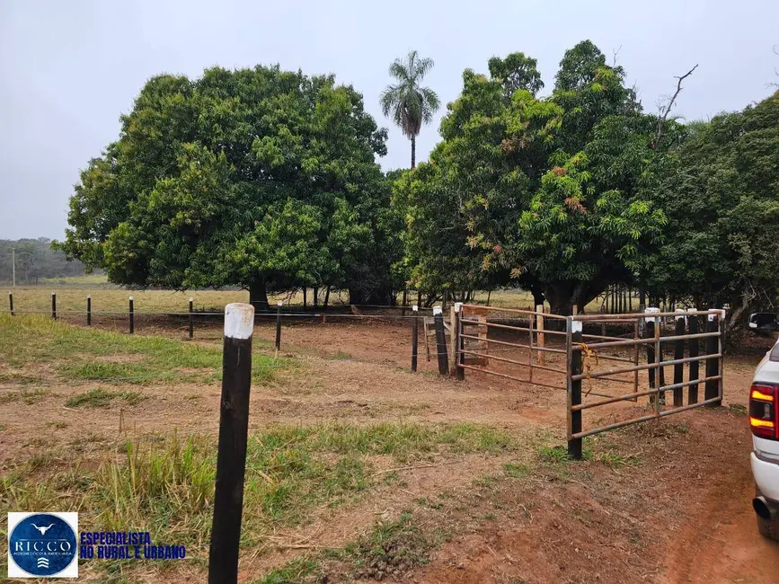 Foto 5 de Fazenda / Haras à venda, 75m2 em Zona Rural, Ituiutaba - MG