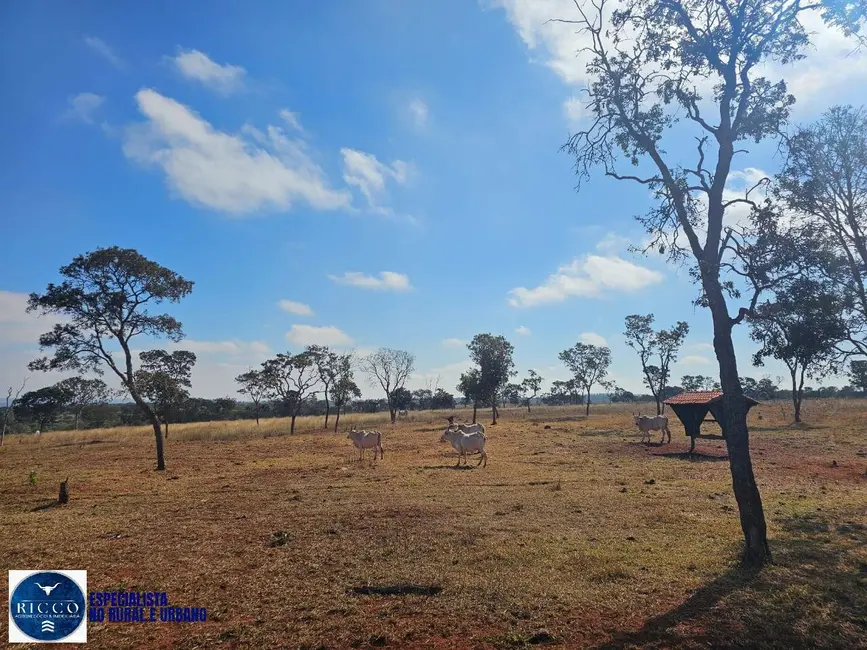 Foto 4 de Fazenda / Haras à venda, 305m2 em Bom Jardim De Minas - MG